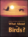 birds02